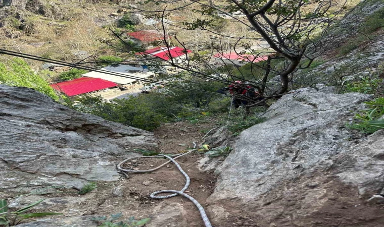 Kayalıklarda mahsur kalan 4 keçi 4 saatte kurtarıldı