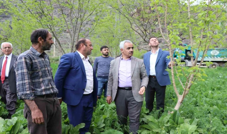 ’Meyve deposu’ Ayvalı Mahallesi’nde don meyve ağaçlarına zarar verdi