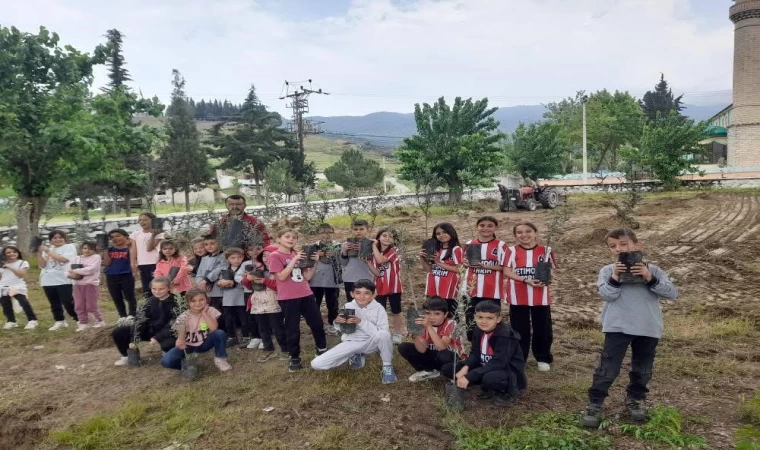 Minik eller okul bahçesine zeytin dikti