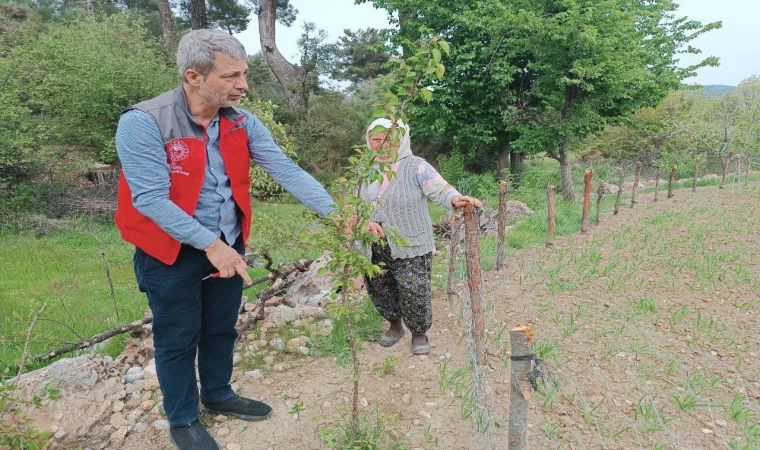 Muğla’da kapsamlı tarımsal takip