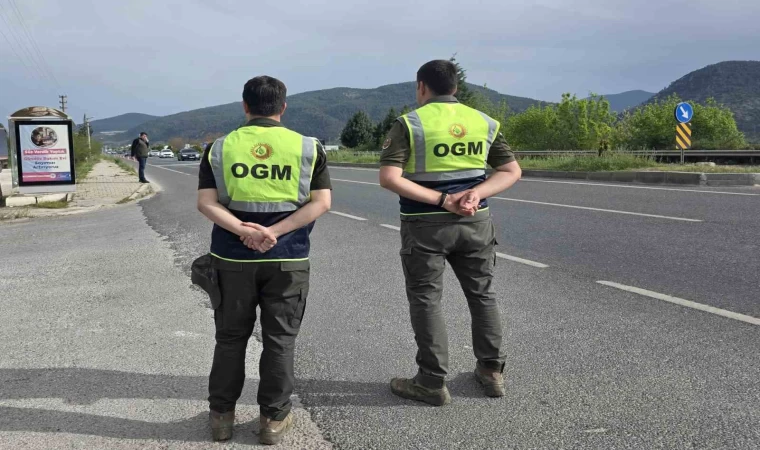 Muğla’da orman emvali kontrolleri sürüyor