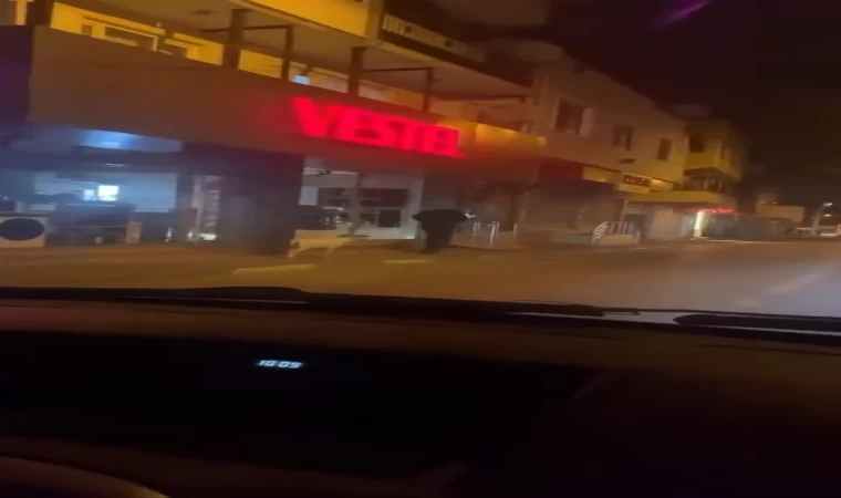 Ne kedi, ne köpek.. Eğittiği kuzusunu dolaşmaya çıkardı