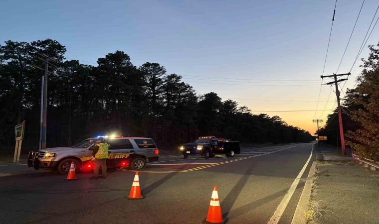 New Jersey’deki orman yangınında 13 bin 250 dönüm alan yandı