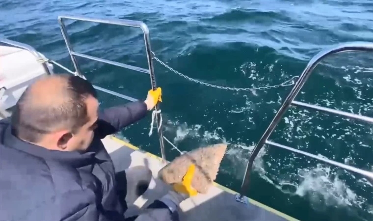 Ordu’da denizde serili kalkan ağına el konuldu