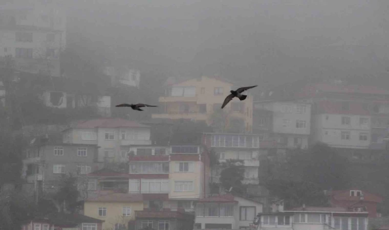 Ordu’da sis etkili oluyor