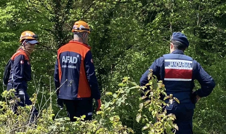 Ormana gitti, bir daha geri dönmedi: 45 gündür her yerde onu arıyorlar