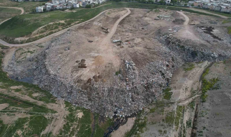 Osmangazi Belediyesi’nin köpek katliamına tepki