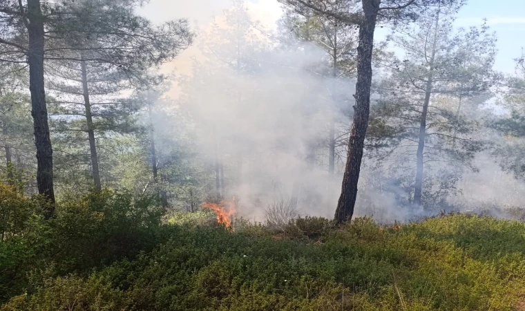 Osmaniye’de ormanlık alanda çıkan yangın söndürüldü