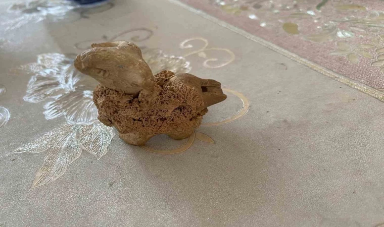 ”Şahruhiye Şehri Kazı Projesi ”sinde kazılar yeniden başlayacak