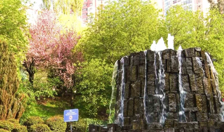 Sakuralar çiçek açtı: Vatandaşlar akın etti