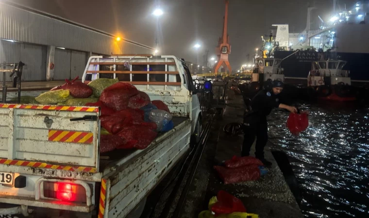 Samsun’da 2 ton kaçak midye ele geçildi