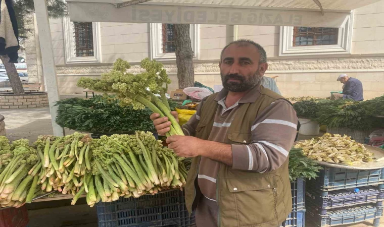Şifa deposu ışkın, tezgahtaki yerini aldı