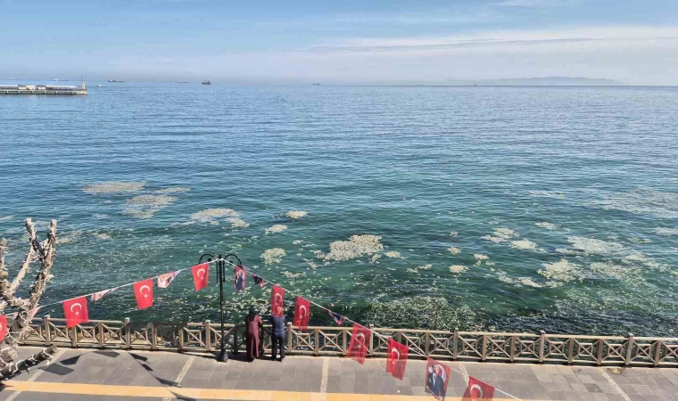 Tekirdağ kıyılarında müsilaj benzeri beyaz tabaka tedirgin etti