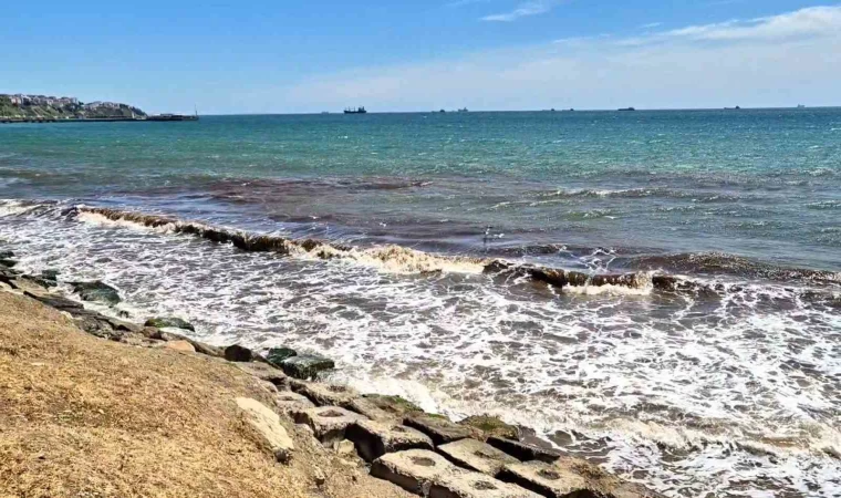 Tekirdağ’da poyraz sonrası deniz yüzeyi kızıl yosunla kaplandı