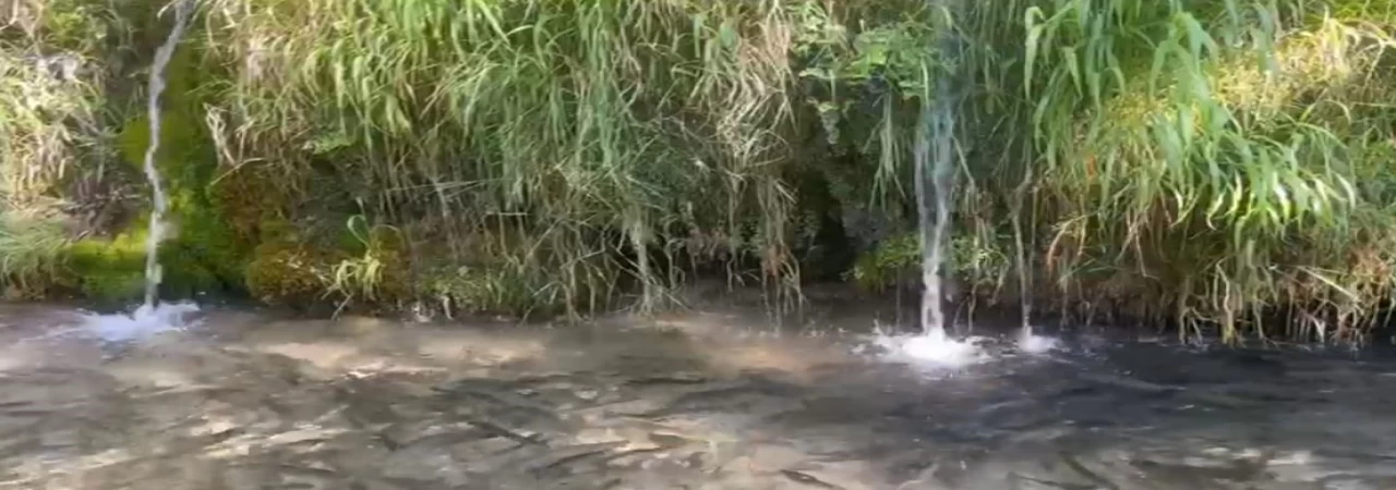 Türkiye’nin 23. doğa harikası Güney Şelalesi ziyaretçilerini bekliyor