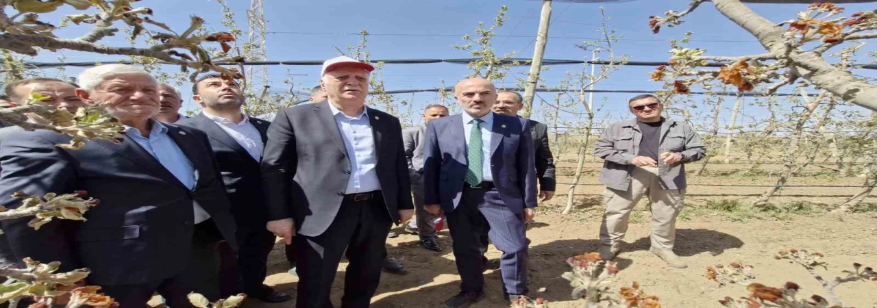 TZOB Başkanı Bayraktar: ”Zirai don ile büyük bir felaket yaşandı”