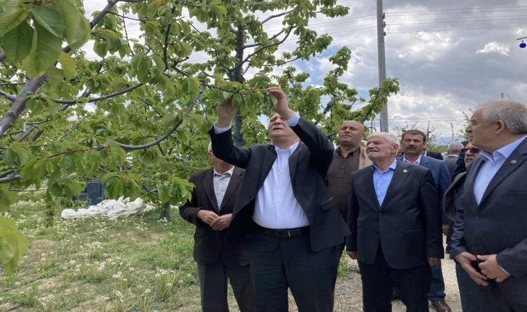 TZOB Genel Başkanı Şemsi Bayraktar: ”3 gün süren don olayı maalesef ürünlerimizi ve üreticimizi perişan etti”