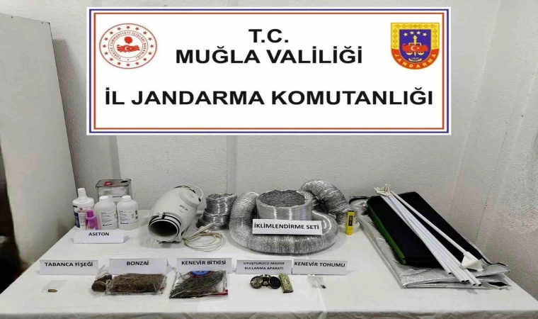 Uyuşturucu operasyonunda 1 gözaltı