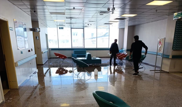 Van Ağız ve Diş Sağlığı Merkezi’nde temizlik çalışması yapıldı