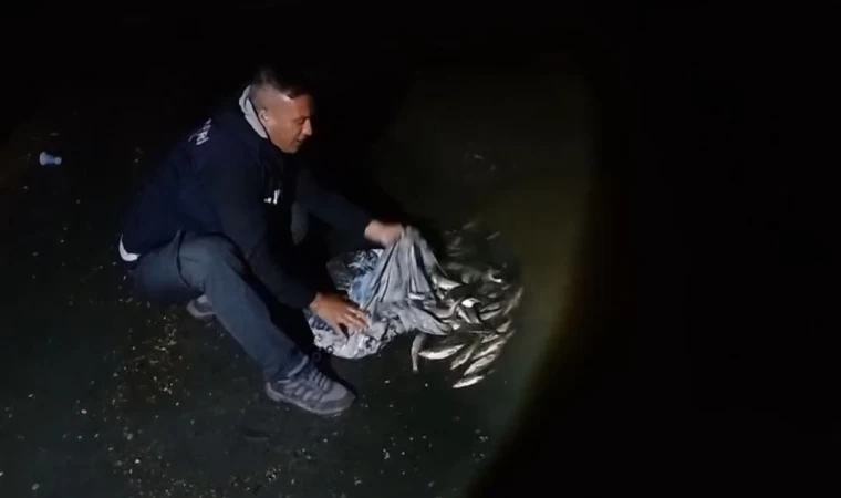 Van’da inci kefali göçü başladı: 60 kilo balığa el konuldu