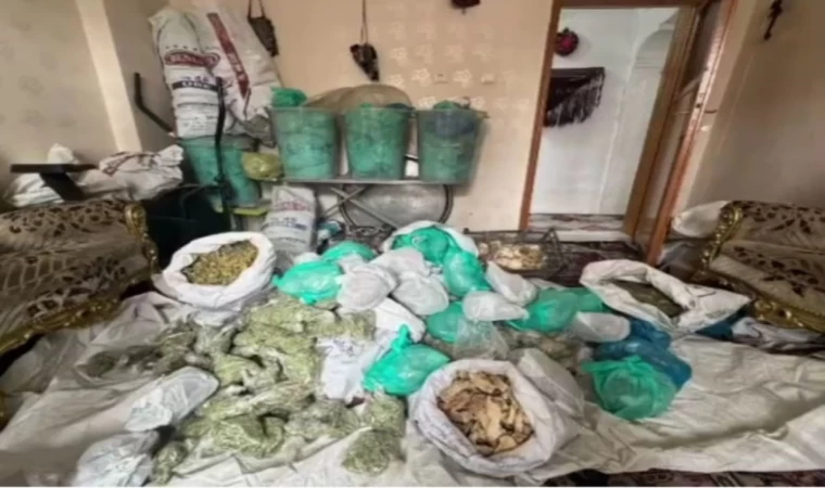 Van’da sahte belgelerle tedavi uygulayan şahıslara operasyon