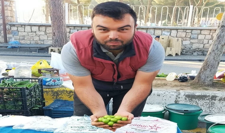 Vazgeçilmez yaz meyvesi erik tezgahlarda yerini aldı