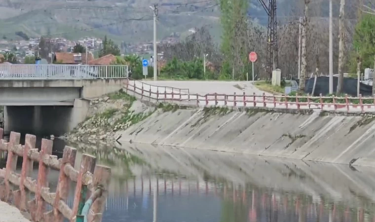 Yeşilırmak Nehri’nde balık ölümleri incelemeye alındı