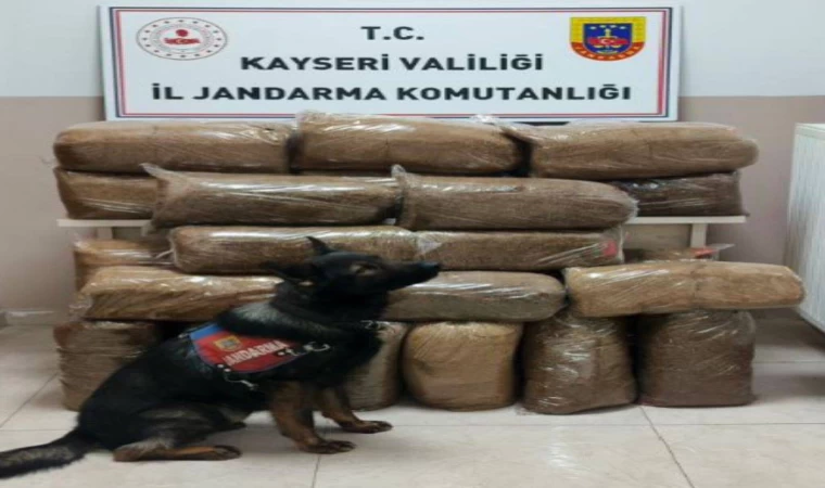 Yolcu otobüsünde kaçak tütün ele geçirildi