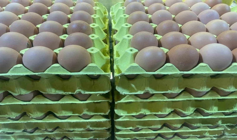 Yumurta fiyatları ”mayıs çukuru” yaklaşınca düşüşe geçti
