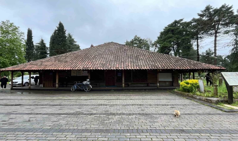 8 asırlık ahşap camide kokarca istilası