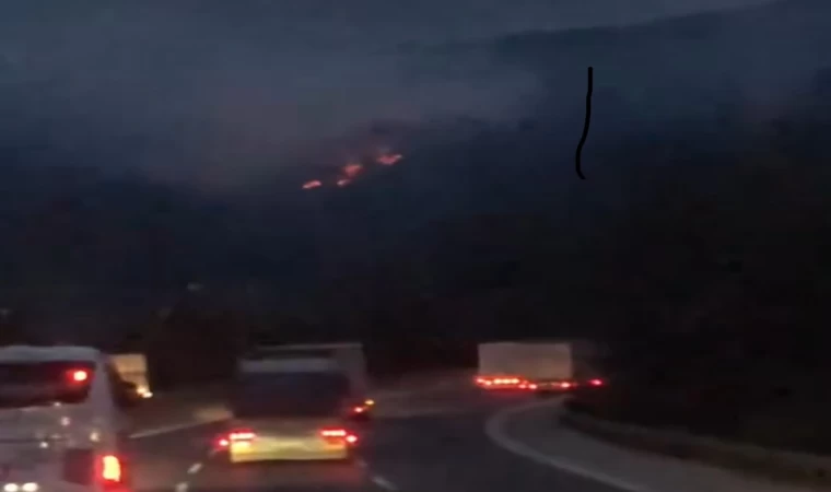 Adana’da iki noktada çıkan orman yangınları kontrol altına alındı