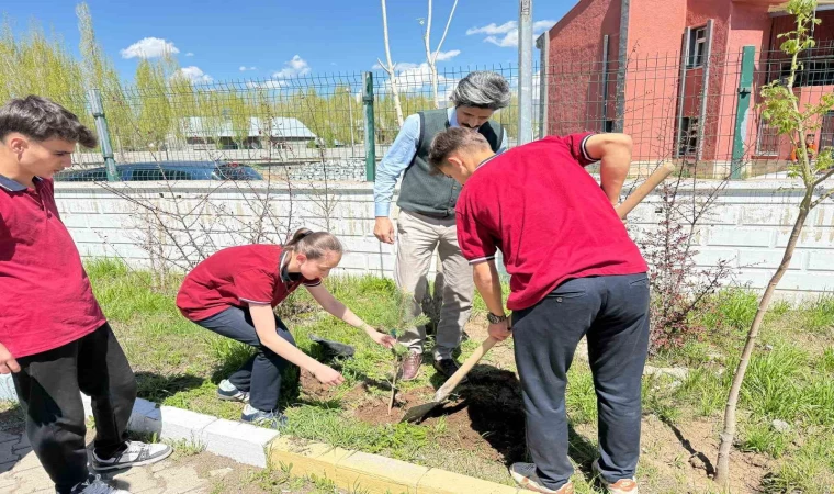 Ağaçlar onlarla büyüyecek