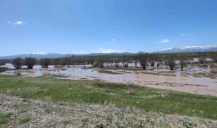 Ağrı’da Murat Nehri taştı araziler sular altında kaldı