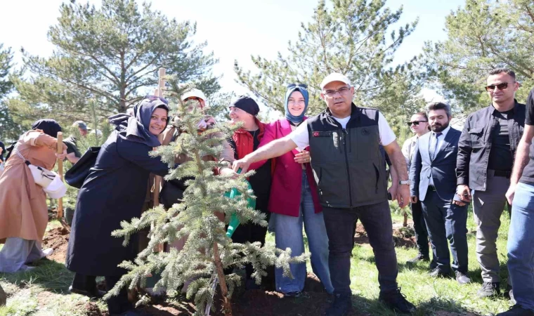 Ağrı’da ”Orman Benim” kampanyası kapsamında fidan dikimi ve orman temizliği etkinliği düzenlendi