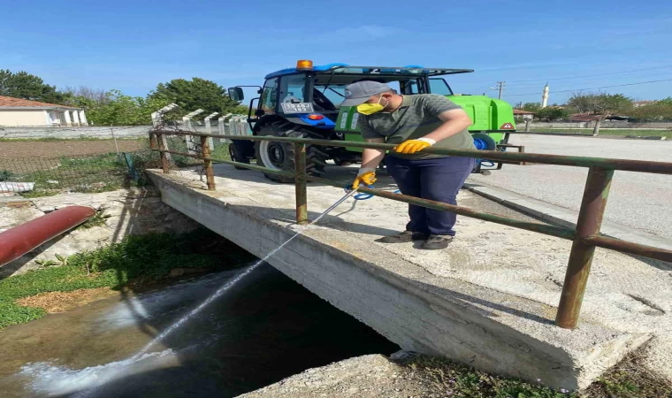 Alaca Belediyesi’nden sivrisineklerle etkin mücadele