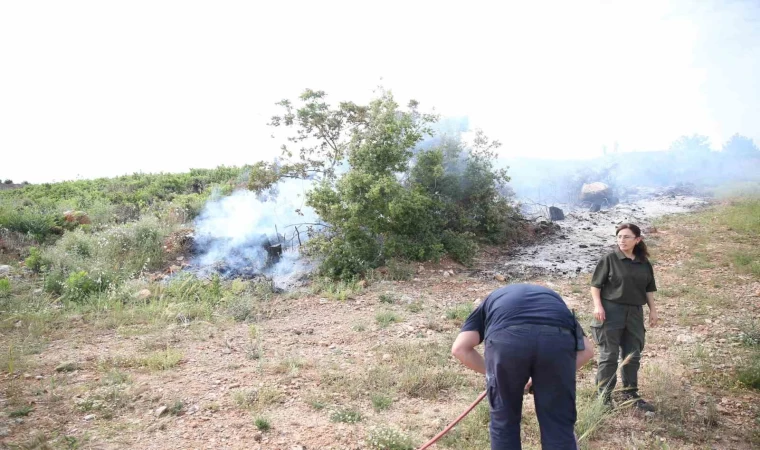 Alanya’da makilik alanda yangın