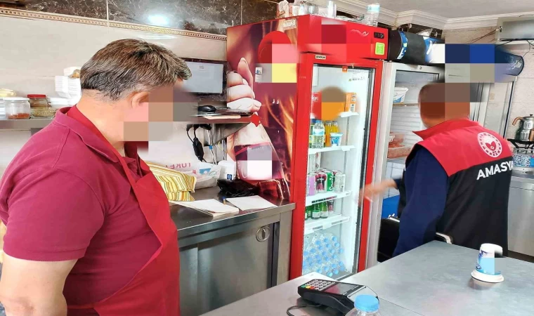 Amasya’da 26 tavuk dönerciye 9,5 milyon TL’den fazla ceza yağdı