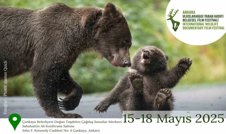 Ankara Uluslararası Yaban Hayatı Belgesel Film Festivali Ankara’da gerçekleşecek
