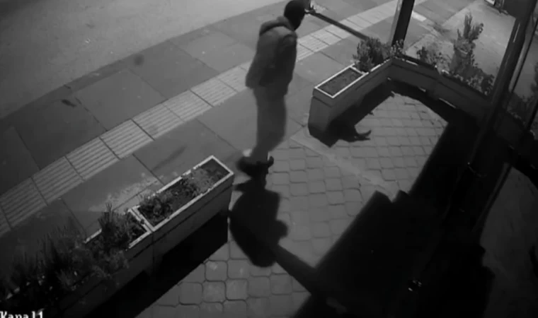 Ankara’daki kedi hırsızlığı kameraya yansıdı