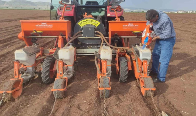 Araban Ovası’nda pamuk ekimine başlandı