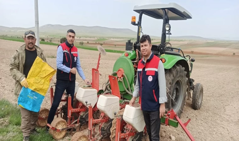 Ayçiçeği ekimlerini yerinde takip ediliyor