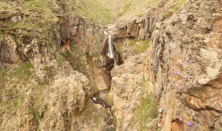 Baharın gelmesiyle şelalenin mest eden görüntüsü ortaya çıktı