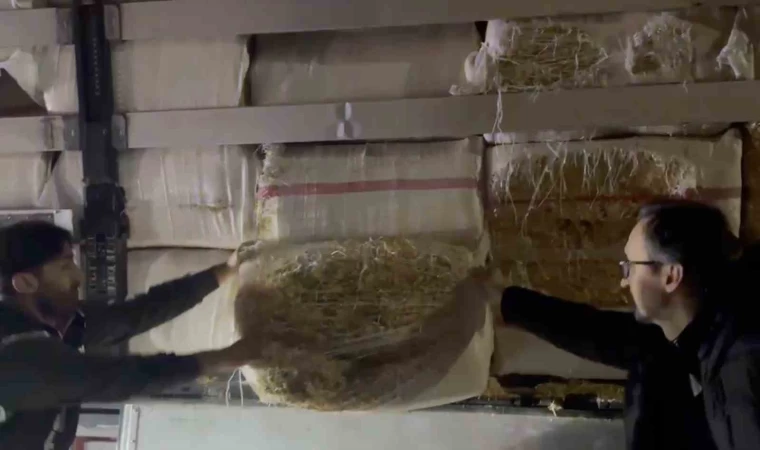 Balyaların arasından binlerce kaçak sigara çıktı