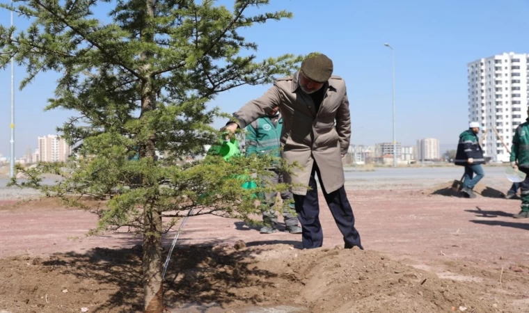 Başkan Çolakbayrakdar: ”Kocasinan’ı yeşille donatıyoruz, Türkiye’ye örnek oluyoruz”