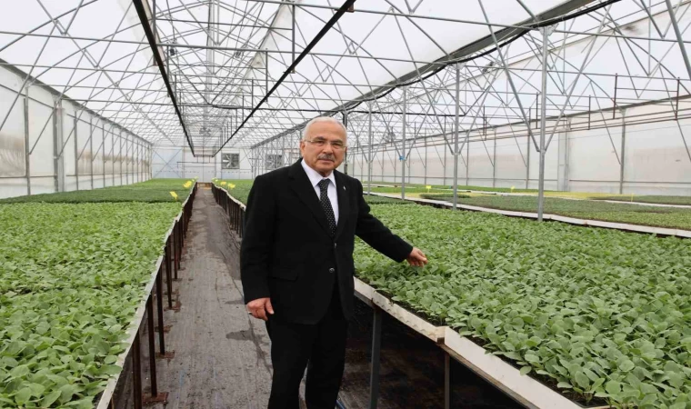 Başkan Güler: ”5 yılda kendi ürettiğimiz 4 milyon adet fideyi üreticilerimize dağıttık”