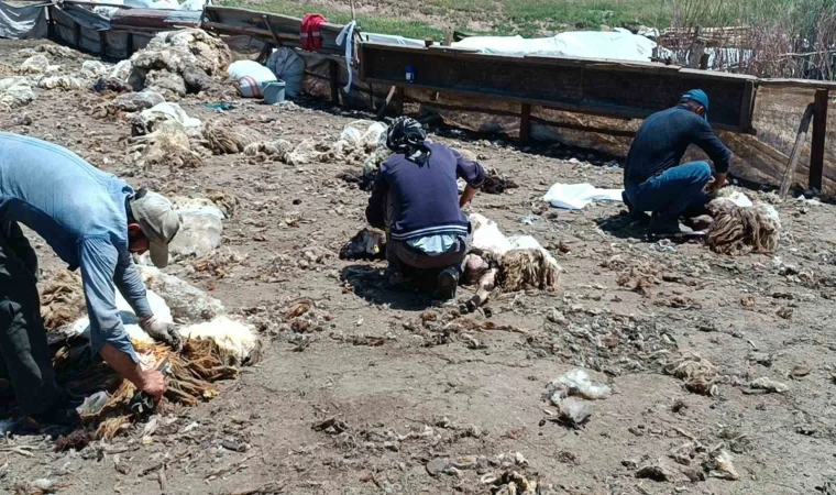 Batman’da yaylada kalan göçerler peynir üretiyor