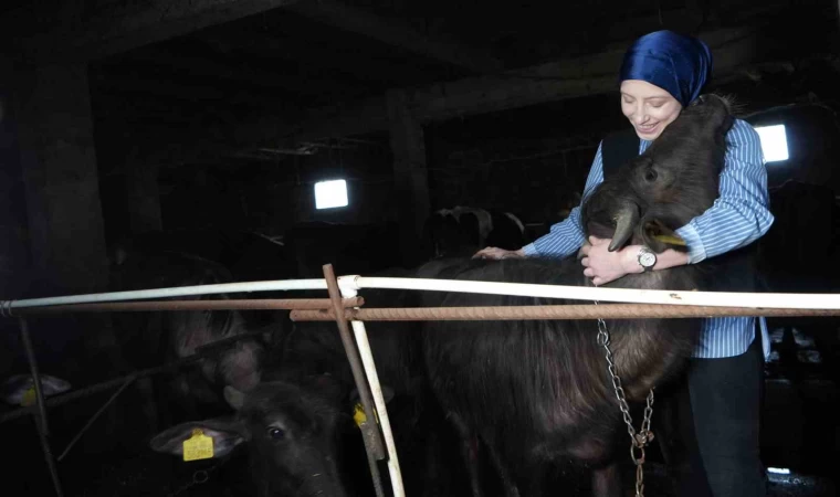 Bayburt’un tek kadın manda yetiştiricisi devlet desteğiyle kendi çiftliğini kurdu: Mandaları köyün simgesi oldu
