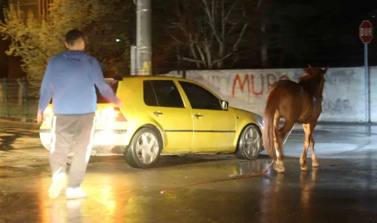 Belediyeden başıboş at ihbarı yapan vatandaşa ”Atı bağlayın, biz sabah ekip göndeririz” cevabı