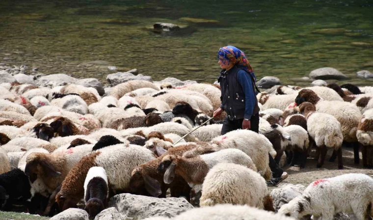 Bir çocuğun sessiz çığlığı: ”Hiç oyuncağım olmadı”