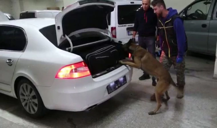 Bolu’da kaçakçılık operasyonunda 4 gözaltı